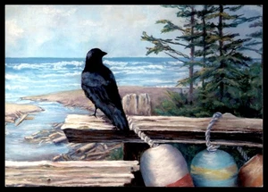 AK Rabe auf einem Dock, Kalaloch, WA - Bild 1 von 2