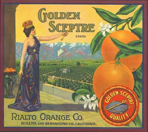 *Originale* GOLDEN SCETTRE Queen Royalty Rialto Orange Crate Etichetta NON UNA COPIA! - Foto 1 di 1