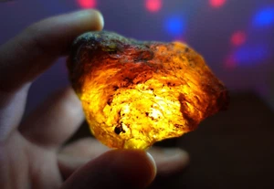 Bloc grosse AMBRE NOIR pierre brute naturelle XL 29g USA lithotherapie reiki - Picture 1 of 6