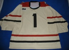 2013-14 Gameworn/ Niagara Icedogs * Blake Richard * Goalie Last Game @Jake