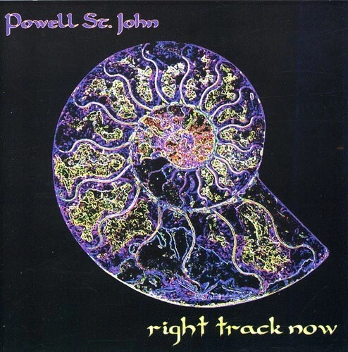 Right Track NOW by Powell St. John (CD, 2007)