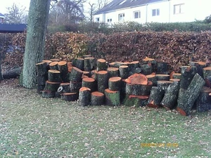 Brennholz - Bild 1 von 4