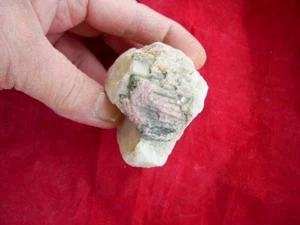 Tourmaline Crystal on Quartz Matrix Watermelon Display Specimen 6.60 oz Brazil - Picture 1 of 5