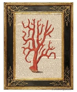 Coral #6 Impresión artística en página de libro vintage decoración colgante para el hogar mar océano - Imagen 1 de 3