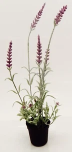 BATH & BODY WORKS DECORATIVE PLASTIC FRENCH LAVENDER PLANT NEW! - Picture 1 of 4