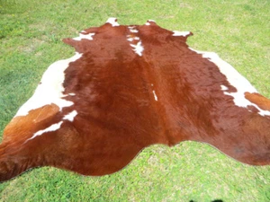 NEW LARGE HEREFORD BROWN Cowhide Rug natural Cowhides Cow Hide Skin 6X6 FEET WHR - Picture 1 of 8