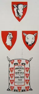Brochure vendita pollame mangime pollo Amacker's vintage Stanley WI 1930s - Foto 1 di 9