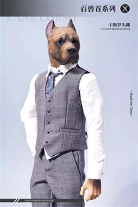 Mostoys 1/6 Scale Cane Corso Head Figure Animal Decor Soldier Accessory Toys - Picture 1 of 26
