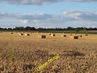 Photo 12X8 Wheat And Bales, Near Richmond's Farm, Richmonds Green,Thaxted  C2013