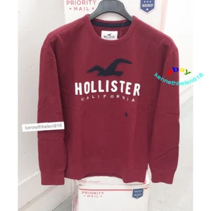 SUDADERA HOLLISTER APLIQUES LOGO CUELLO REDONDO BORGOÑA HOMBRE TALLA MEDIANA - Imagen 1 de 8