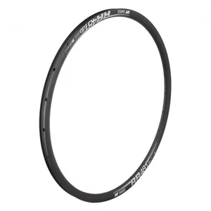 DT Swiss RR 481 DB SBWT 24 hole Presta-drilled disc brake black - 29" / 700c - Picture 1 of 1