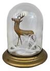Antique 19Thc Victorian German Blown Glass Reindeer Figurine Glass Dome Diorama