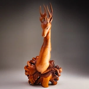 Hand Carved Wooden Figure Of A Spider, Parasite Wood - Picture 1 of 14