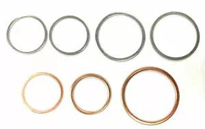 Z101G CHAMPION REN10 PUMP VALVE GASKET SET - Picture 1 of 2