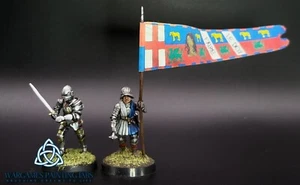 Painted French Burgundy Warlord set for SAGA other Wargames miniatures - Picture 1 of 5