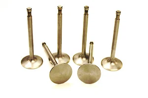 A SET OF 6 INLET VALVES FOR THE AUSTIN HEALEY 100/6 WITH 2 PORT HEAD AEC272 - Picture 1 of 1