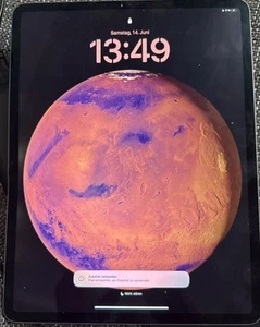 Apple iPad Pro 12.9 4. Gen 1TB Space Grau Wi-Fi Display Touch ohne Funktion - Bild 1 von 7