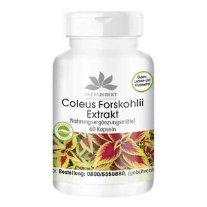 Coleus Forskohlii Extrakt - 60 Kapseln mit 10 mg Forskolin vegan | herba direkt  - Bild 1 von 12