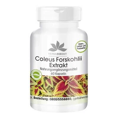 Coleus Forskohlii Extrakt - 60 Kapseln mit 10 mg Forskolin vegan | herba direkt
