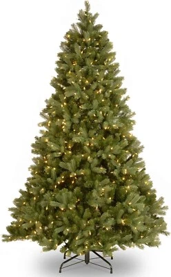 Albero di Natale National Tree Company Pre-Lit Abete Tiffany 6,5" - Immagine 1 di 4