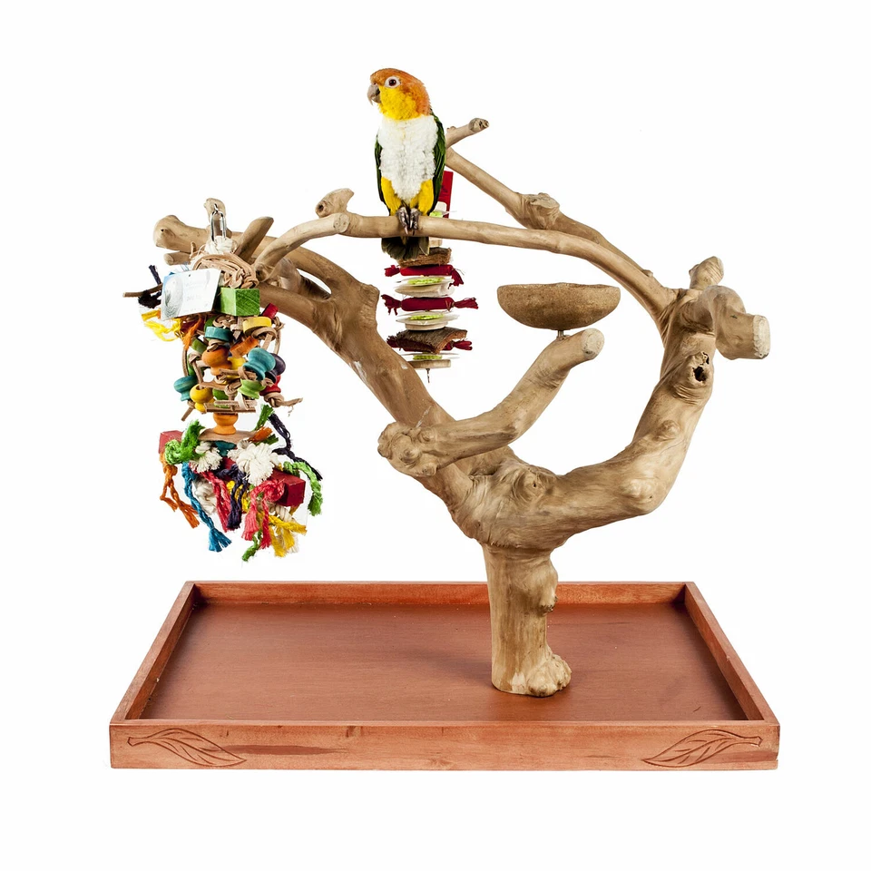 Java Tree Hardwood Mini Tree Conure, African Grey, Parrot Table Top Play Stand  - Image 1 of 2
