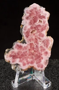Rhodochrosite Stalactite Slice Pink Polished Jewelry Argentina 58mm 23g C0194 - Picture 1 of 11