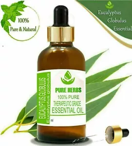 Pure Herbs Eucalyptus Globulus 100% Pure & Natural Globulus Essential Oil - Foto 1 di 8