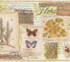 FLOWERS & BUTTERFLIES WALLPAPER BORDER - 127B26636 - Picture 1 of 2