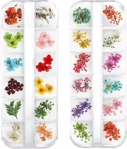 Teenior 24 Colors Nail Dried Flowers, 3D Nail Art Sticker for Tips Manicure Deco - Picture 1 of 7