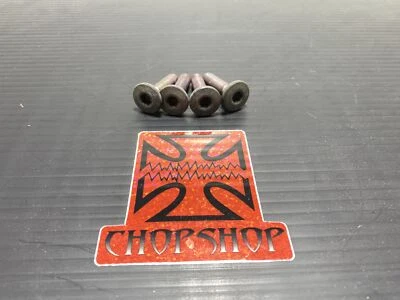 03 04 KAWASAKI NINJA ZX6R 636 REAR BACK BRAKE ROTOR BOLTS DISC HARDWARE SET - Image 1 of 4