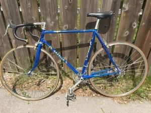 Rennrad Gazelle Champion Stahlrahmen Vintage Rad - Reynolds 531 / 55 / Shimano - Bild 1 von 6