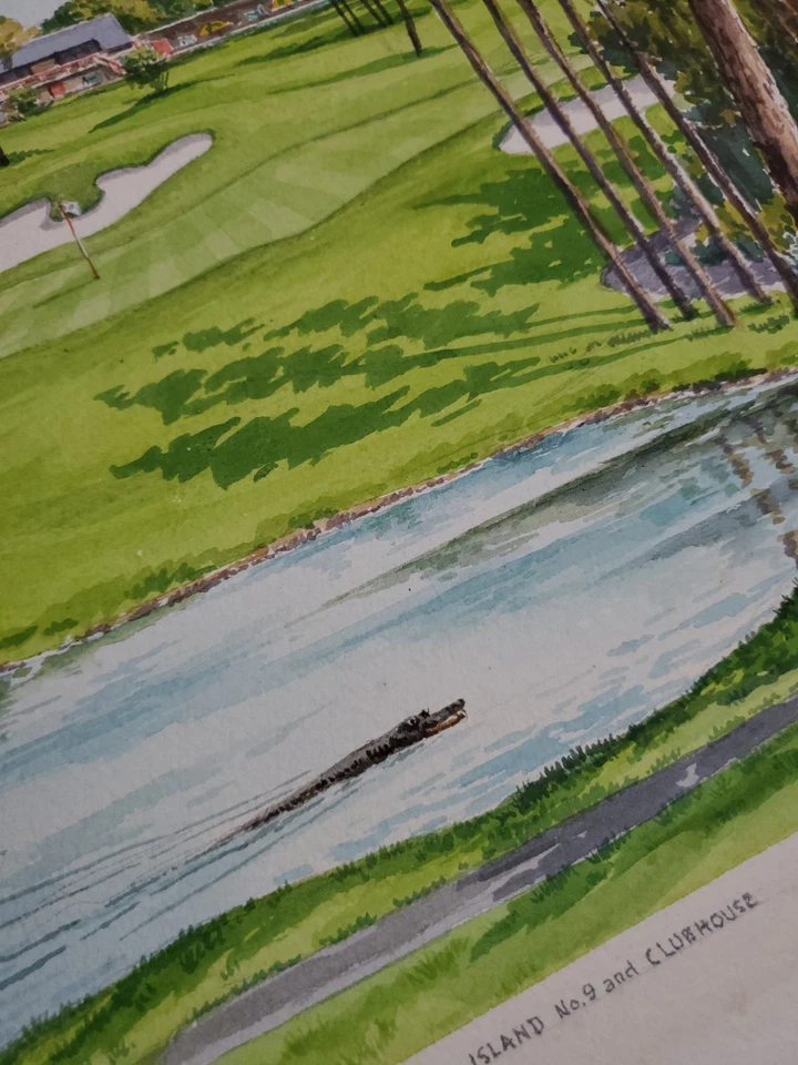 Винтажное оригинальное акварельное поле для гольфа с автографом Robert R. Young «Island No.9»  - Изображение 1 из 4