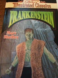 Die jungen Sammler Mary Shelleys Frankenstein: Ein illustrierter Klassiker - Bild 1 von 3
