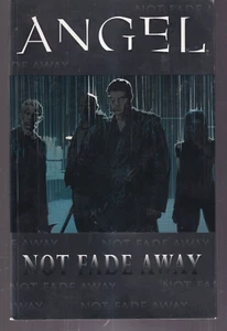 ANGEL: NOT FADE AWAY (IDW Publishing 2009 Trade Paperback){B9} - Picture 1 of 2