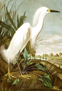 Wooden Jigsaw Puzzles For Adults - Snowy Heron (50 Pieces) Mini Jigsaw Puzzle - Picture 1 of 6