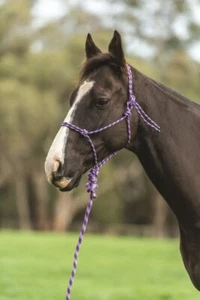 SAXON Two Tone Rope Headcollar And Lead Set PURPLE - Picture 1 of 1