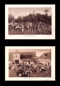 2 PHOTO imprimées Période 1930 / Creuse Brie Agriculture Ferme Foin Paysan