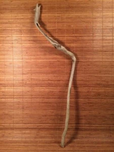 Schönes 31" TREIBHOLZ Stück Terrarium Taxidermie Aquarium Strand Holz DEKOR Kunst - Bild 1 von 8