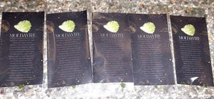 moldavite crystal - Picture 1 of 2