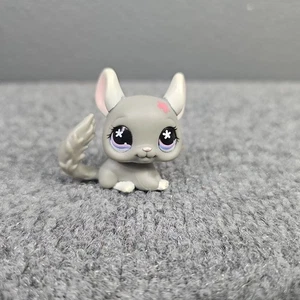 Littlest Pet Shop #495 ojos de flor púrpura chinchilla gris - Imagen 1 de 5