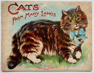 CATS FROM MANY LANDS, children's illustrated book, R. Tuck, circa 1905 - Foto 1 di 14
