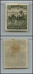 FIUME - 1918/1919 - 40 Filler soprastampato (13) - MH - Picture 1 of 1