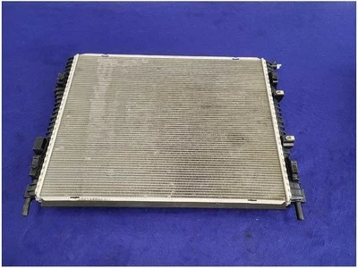 2015-2023 Ford Mustang GT S550 Radiator Front Engine Cooling fr33-8005-cj FH - Image 1 of 4