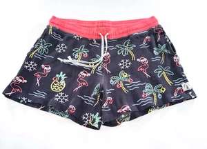 Chubbies Men's Shorts 4" Inseam Size Medium - Flamingos, Pineapples & Snowflakes - Picture 1 of 5