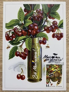 Tarjeta máxima Ucrania 2025 "¡Melitopol es Ucrania!" (Cancelado en Kiev) - Imagen 1 de 2