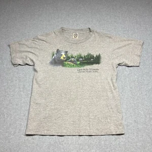 Vintage Mens Great Smoky Mountains Bear T Shirt Large Single Stitch Gray - Picture 1 of 6