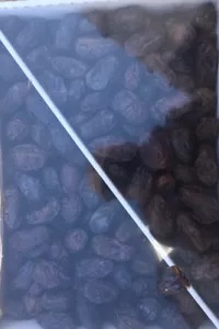 MEDJOOL DATES 11 LB. LARGE.. FRESH CALIFORNIA DATES. FREE SHIPPING. - Picture 1 of 2