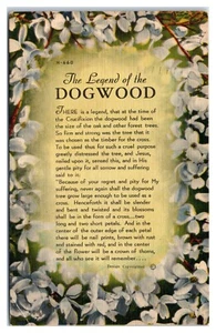 Postal de poema Legend of Dogwood - Imagen 1 de 2
