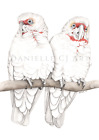 Watercolour Long-Billed Corellas Print - native Australian birds cockatoo art
