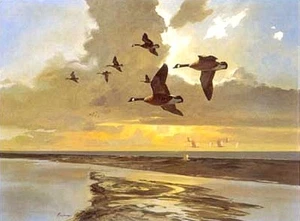 The Island John Cowan Geese Flying over the Texas Gulf Coast Art Print - Picture 1 of 1
